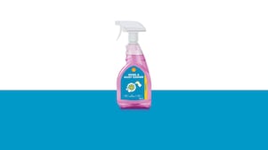 Shell Wheel & Alloy Cleaner